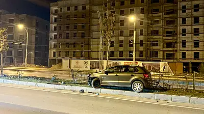 Köpeğe Çarpan Otomobil Kontrolden Çıkıp Refüje Çarptı