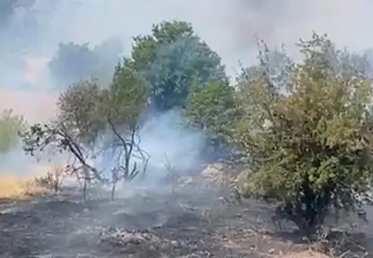 Doğanyol Yalınca mevkiinde orman yangını