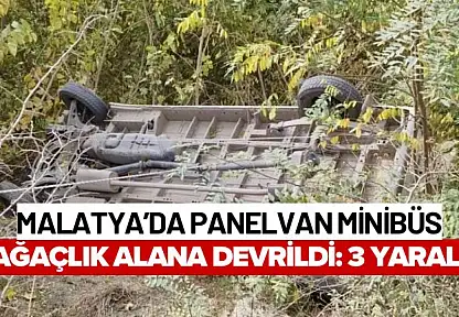 Malatya'da Panelvan Minibüs Ağaçlık Alana Devrildi: 3 Yaralı