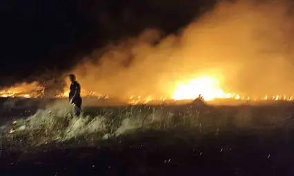 Akçadağ'da bahçe ve sazlık yangını: 25 Kayısı ağacı zarar gördü