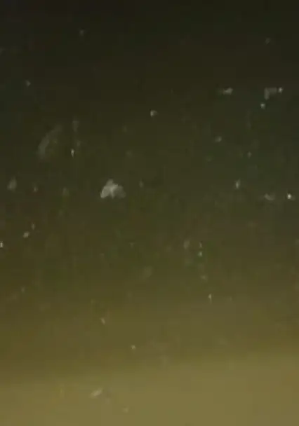 TOKİ 2. Etap'ta Bodrum Katları Su Bastı, Vatandaşlar Tepkili