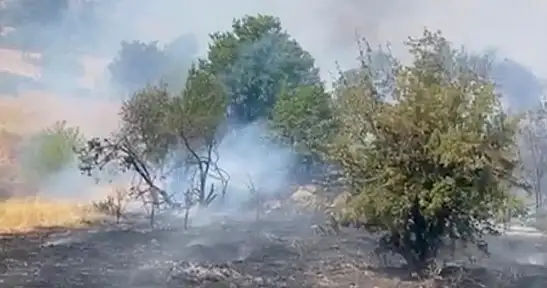 Doğanyol Yalınca mevkiinde orman yangını