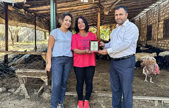 Malatya'da 10 koyunla başladı 2 bin koyun yetiştirdi