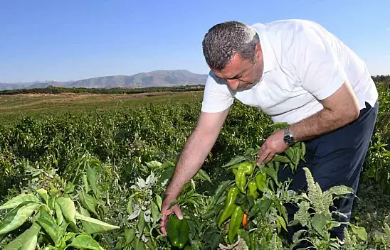 ABD'nin kapya biberi Malatya'dan