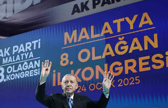 Cumhurbaşkanı Erdoğan, Bolu'daki yangınla ilgili açıklamalarda bulundu