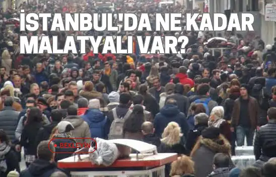 İstanbul'da ne kadar Malatyalı var
