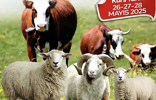 Malatya Büyükşehir Belediyesi'nden kurban kesim kursu