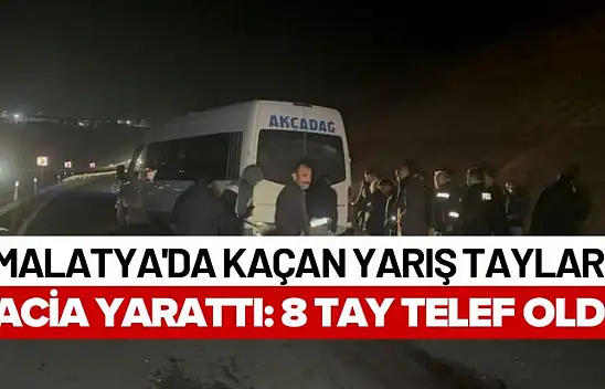 Malatya'da Kaçan Yarış Tayları Facia Yarattı: 8 Tay Telef Oldu