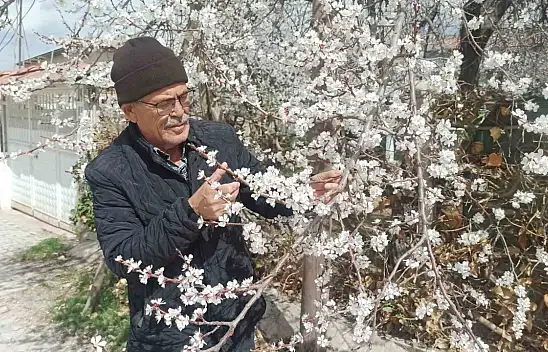 Malatya'da Zirai Don Tehlikesi