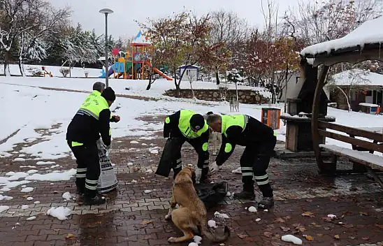 Malatya'da sokak ve yaban hayvanları unutulmadı
