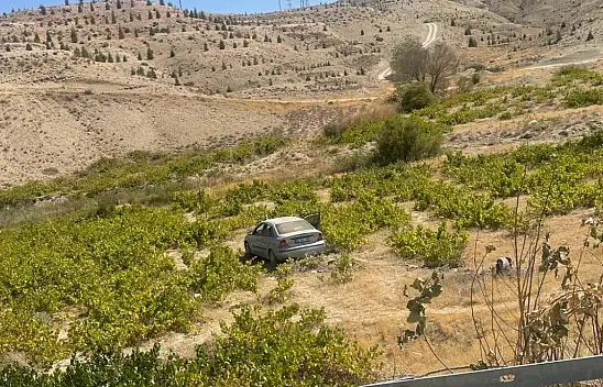 Malatya'da kontrolden çıkan araç üzüm bağına uçtu: 2 yaralı