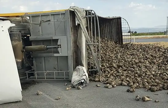 Malatya'da pancar yüklü kamyon devrildi: 2 yaralı