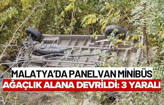 Malatya'da Panelvan Minibüs Ağaçlık Alana Devrildi: 3 Yaralı