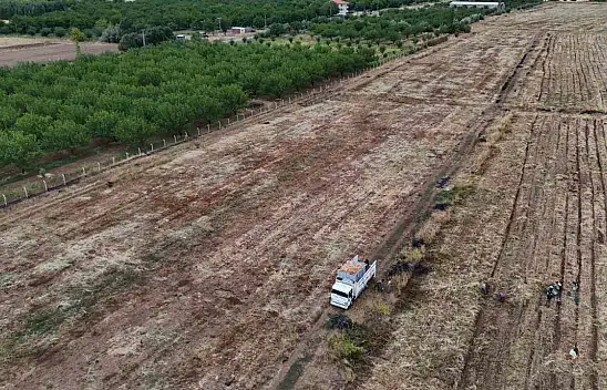 Malatya'da üretilen soğanlar Avrupa'ya ihraç ediliyor