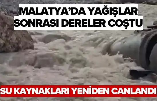 Malatya'da Yağışlar Sonrası Dereler Coştu, Su Kaynakları Yeniden Canlandı