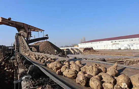 Malatya Şeker Fabrikası'nda hedef 55 bin ton şeker üretimi