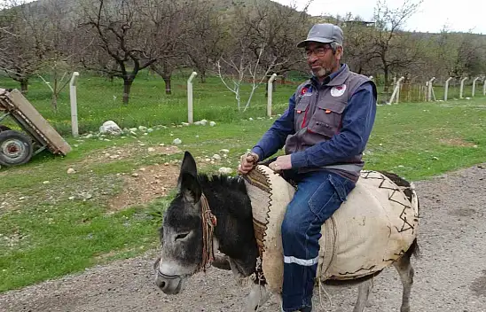 Malatya'da Eşekler Azalıyor