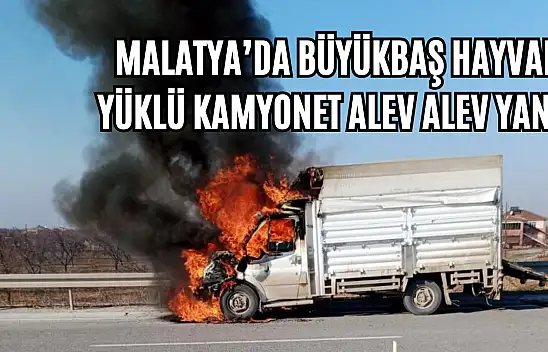 Malatya'da Büyükbaş hayvan yüklü kamyonet alev alev yandı