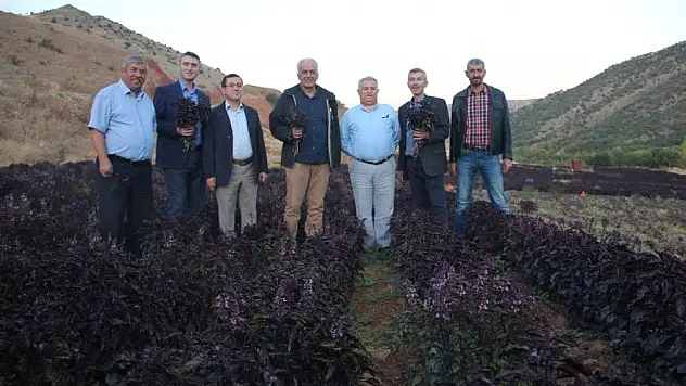 'TÜBA üyeleri Arapgir´de incelemelerde bulundu'