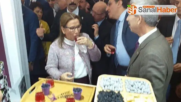 Cumhurbaşkanı Yardımcısı Oktay ve Bakan Pekcan'dan Arapgir standına ziyaret