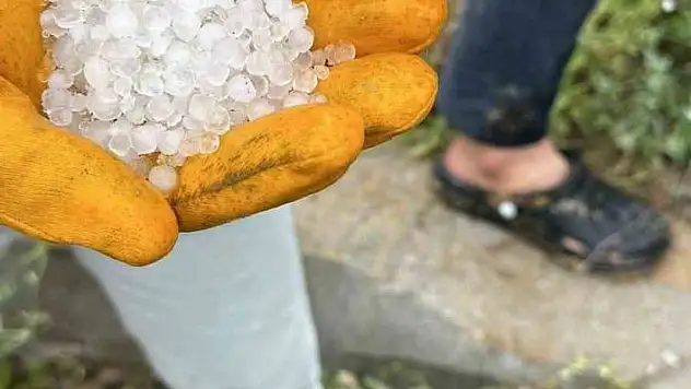 'Dolu kayısıyı vurdu, üreticiler tedirgin'