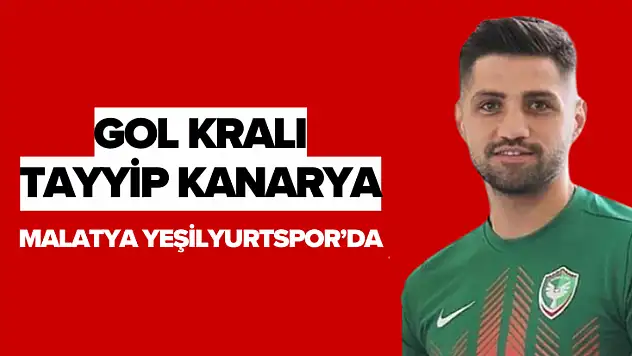 Gol kralı Malatya Yeşilyurtspor'da