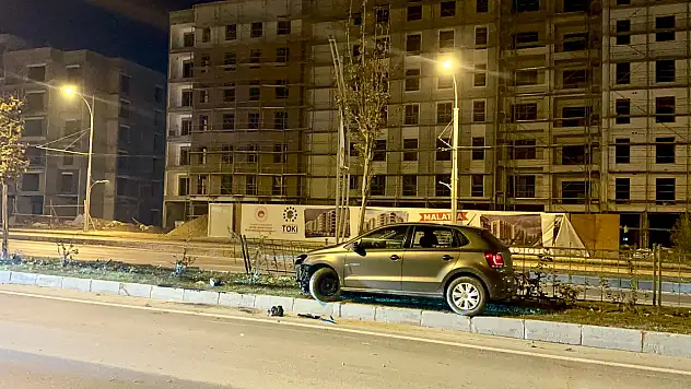 Köpeğe Çarpan Otomobil Kontrolden Çıkıp Refüje Çarptı