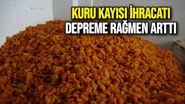 Kuru kayısı ihracatı depreme rağmen arttı