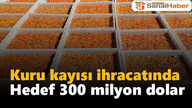 Kuru kayısı ihracatında hedef 300 milyon dolar