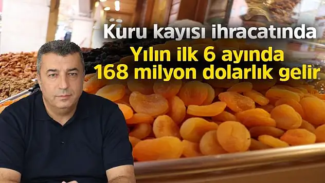 Kuru kayısı ihracatında yılın ilk 6 ayında 168 milyon dolarlık gelir