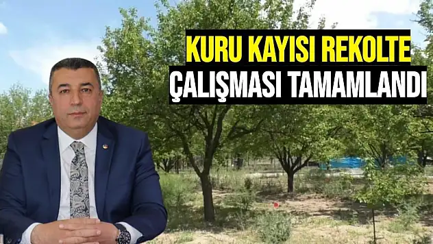 Kuru kayısı rekolte çalışması tamamlandı