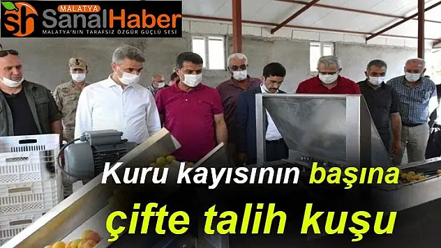 Kuru kayısının başına çifte talih kuşu