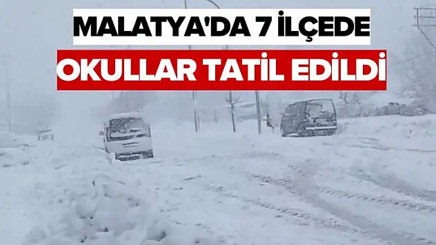 Malatya'da 7 İlçede Okullar tatil edildi