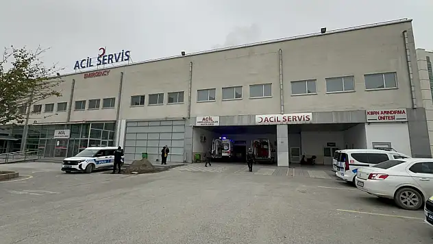 Malatya'da Karşıdan Karşıya Geçen Yayaya Otomobil Çarptı: 1 Ölü