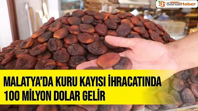 Malatya´da kuru kayısı ihracatında 100 milyon dolar gelir