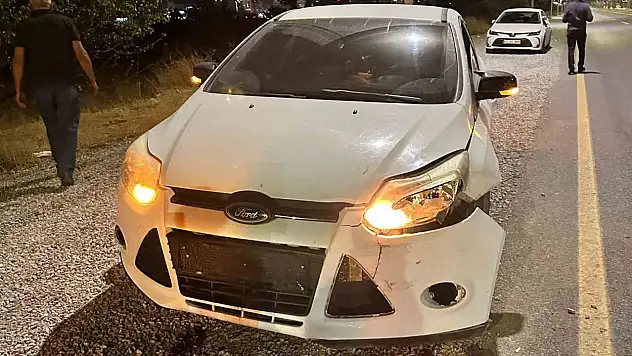 Malatya'da otomobilin çarptığı domuz telef oldu