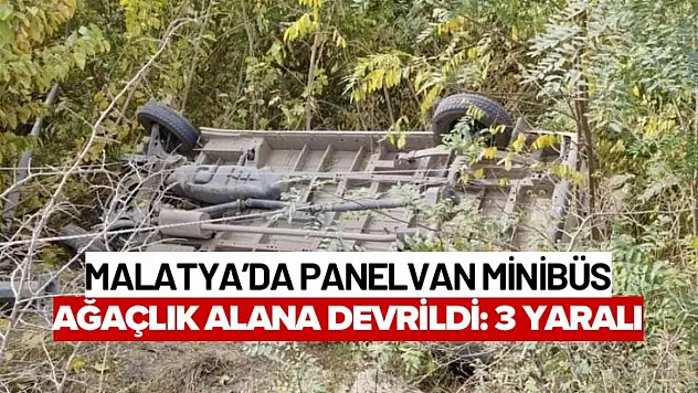 Malatya'da Panelvan Minibüs Ağaçlık Alana Devrildi: 3 Yaralı