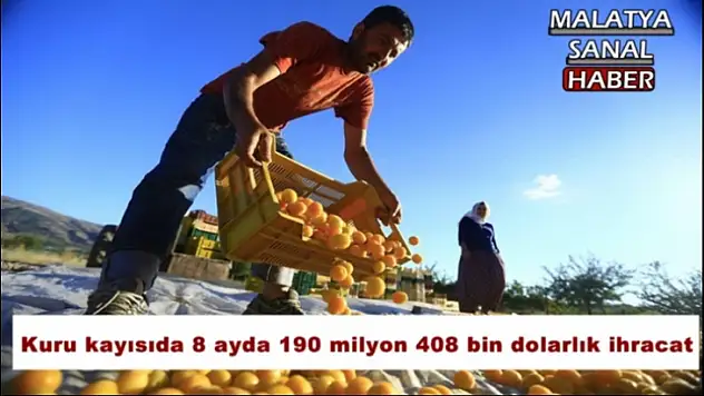 Kuru kayısıda 8 ayda 190 milyon 408 bin dolarlık ihracat