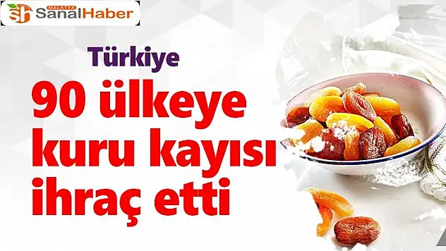 Türkiye, 90 ülkeye kuru kayısı ihraç etti