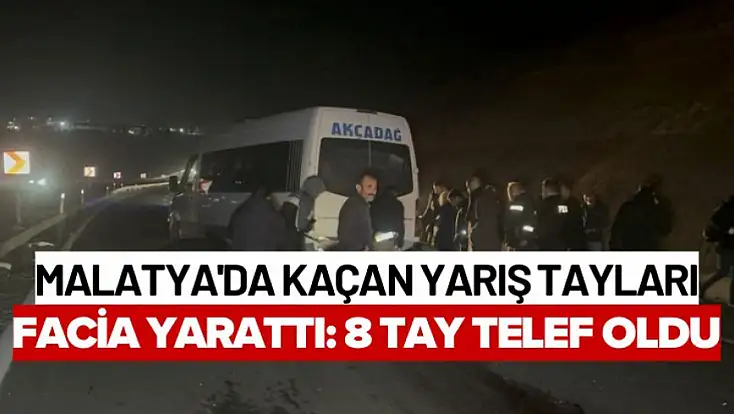 Malatya'da Kaçan Yarış Tayları Facia Yarattı: 8 Tay Telef Oldu