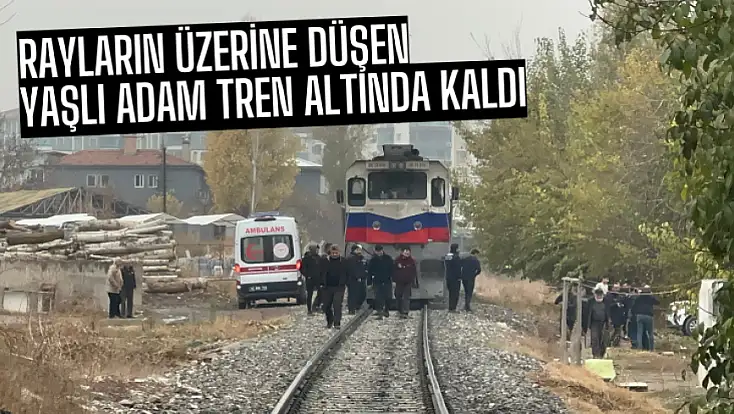 Rayların Üzerine Düşen Yaşlı Adam Tren Altında Kaldı