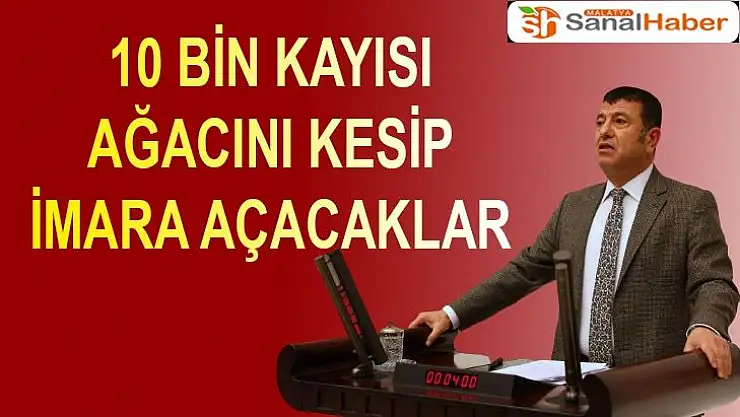 10 Bin Kayısı Ağacını Kesip İmara Açacaklar