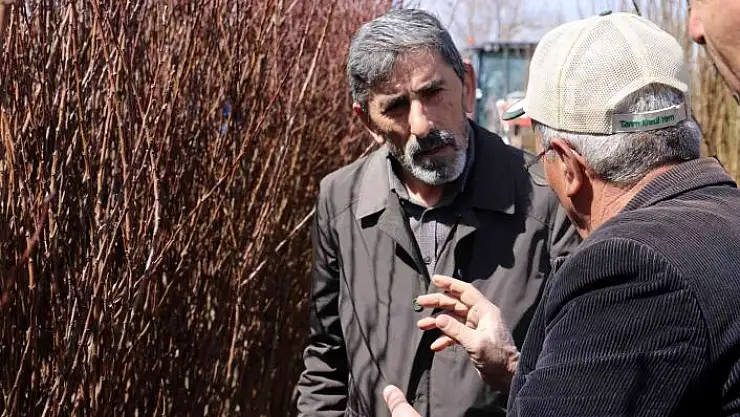 '10 bin meyve fidan toprakla buluşacak'