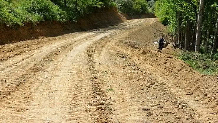 Doğanşehir'in Yolları Yapılıyor