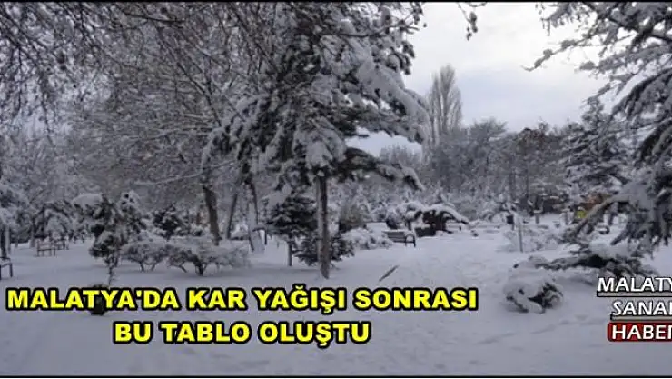 MALATYA'DA KAR YAĞIŞI SONRASI BU TABLO OLUŞTU