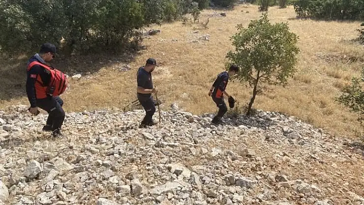 '11 çocuk babası dağ taş aranıyor'