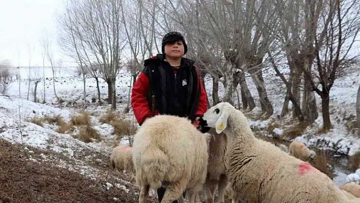 '11 yaşındaki çoban dondurucu soğukta sürü güdüyor'