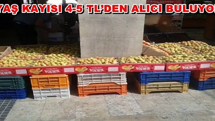 Bayram Öncesi Yaş Kayısıya Rağbet Arttı