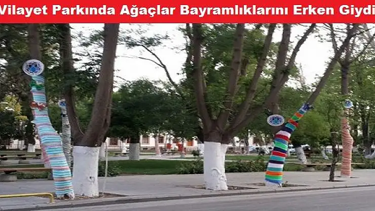 VİLAYET PARKI´NDA BULUNAN AĞAÇLAR SÜSLENDİ