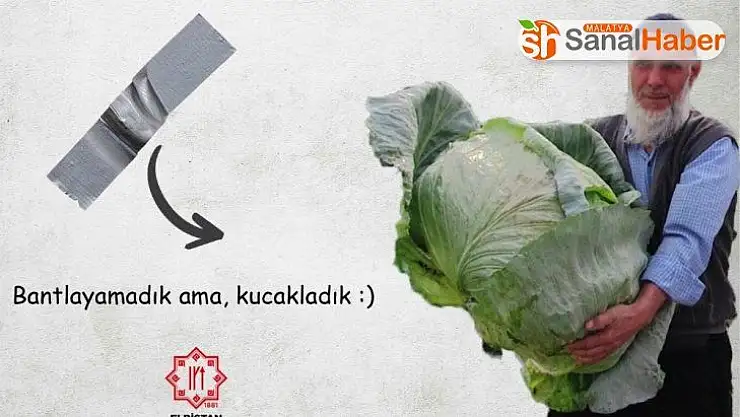 120 bin dolarlık muza 'lahanalı' gönderme